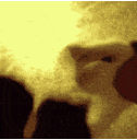 :8739_cat_fight: